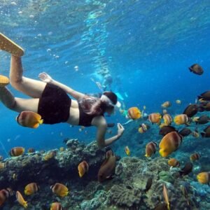Nusa Penida Snorkeling Experience