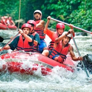 Ayung River Rafting Experience