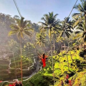 Bali Swing Experience