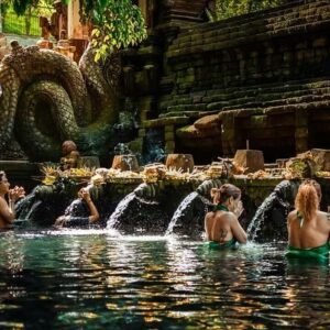 Tirta Empul Purification Experience
