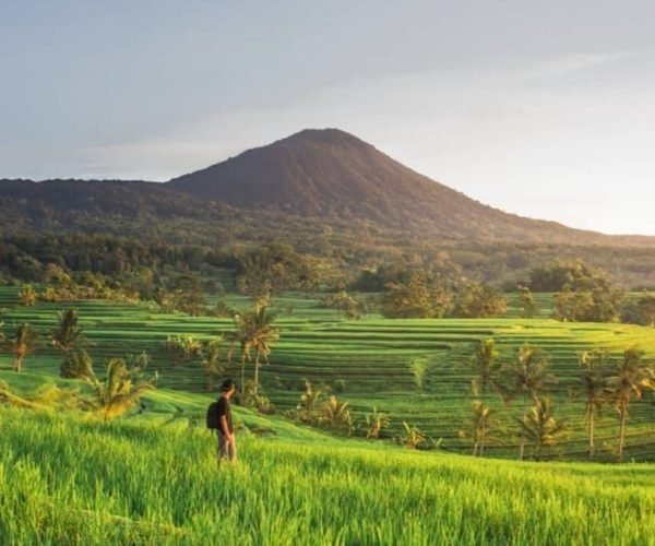 Jatiluwih Rice Terrace2