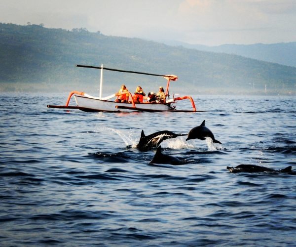 Lovina Dolphin2