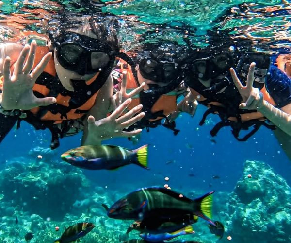 nusa penida snorkeling1