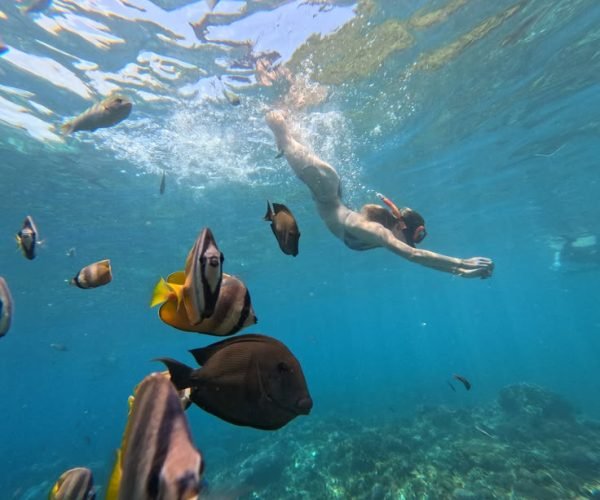 nusa penida snorkeling5