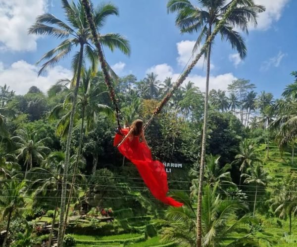 swing2